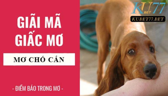 mo thay cho can