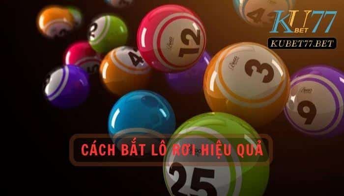 cach bat lo roi hieu qua