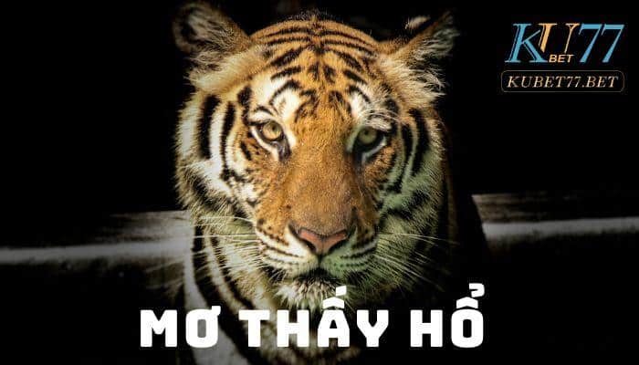 mo thay ho